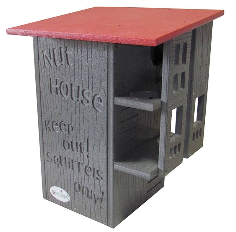 Gray/Cardinal Red Squirrel House Nesting Box C244779