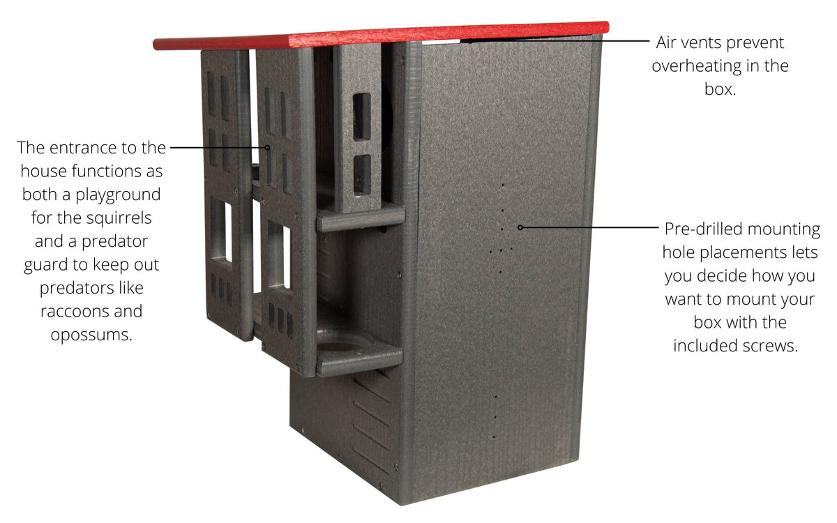 Gray/Cardinal Red Squirrel House Nesting Box C244779